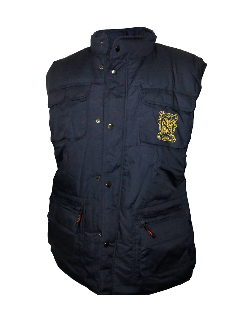 Vest • Blue